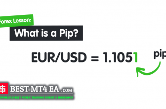 what are pips forex