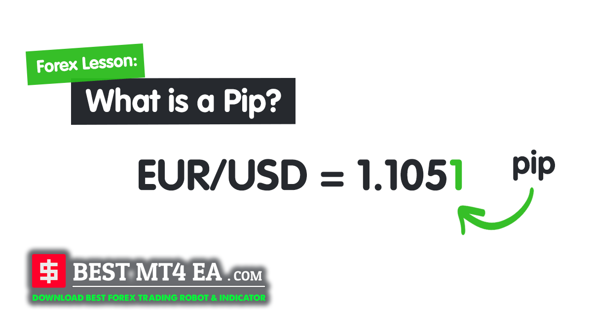 what are pips forex