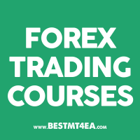 Forex Trading Courses